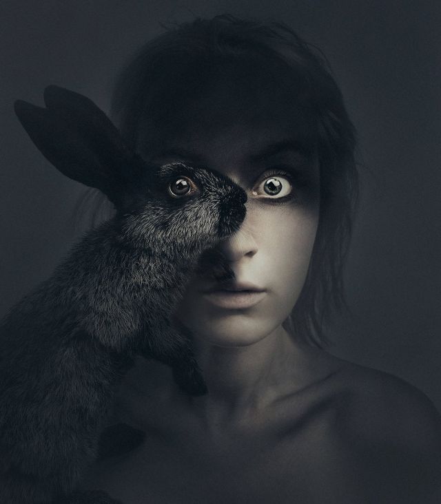 Unusual Portraits (14 pics)