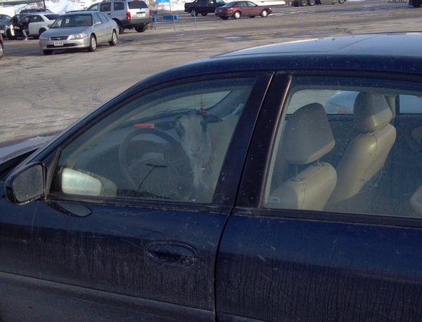 Strange People In Stores (22 pics)