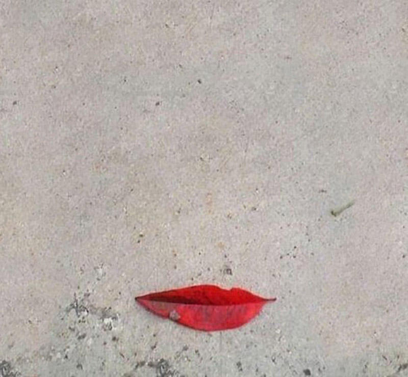 Optical Illusions (38 pics)