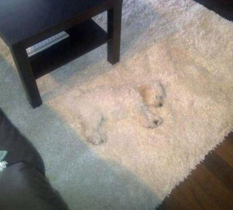 Optical Illusions (38 pics)