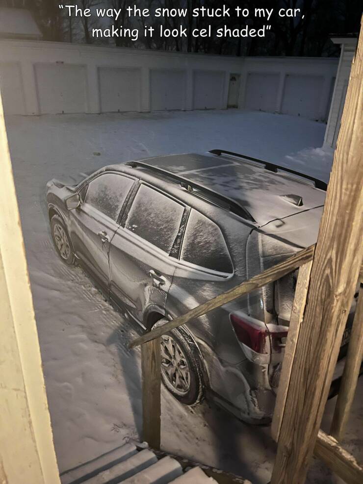 Daily Pictures. Part 2 (81 pics)