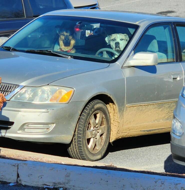 Daily Pictures. Part 2 (81 pics)