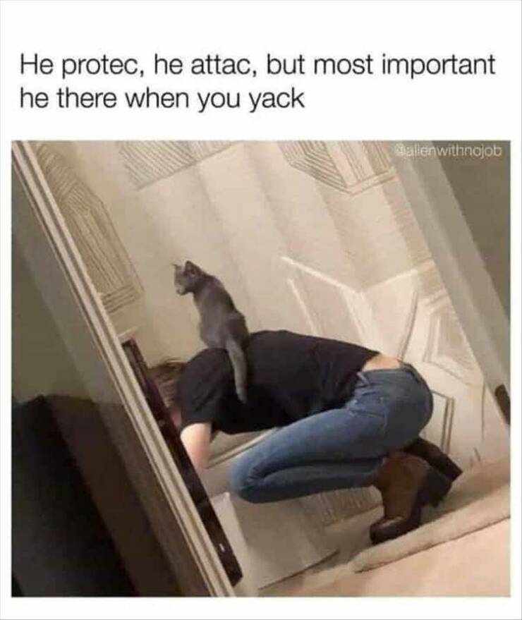 Daily Pictures. Part 2 (81 pics)