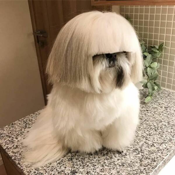 Daily Pictures. Part 1 (66 pics)