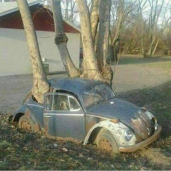 Daily Pictures. Part 1 (66 pics)