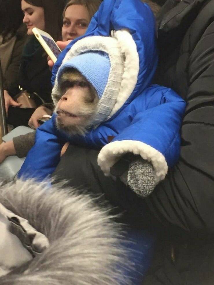 Daily Pictures. Part 1 (66 pics)
