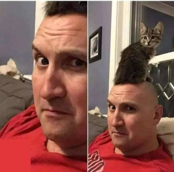 Daily Pictures. Part 2 (64 pics)