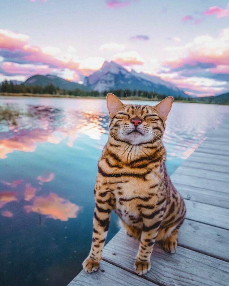 Daily Pictures. Part 1 (66 pics)
