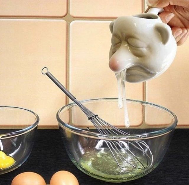 Worst Designs (25 pics)