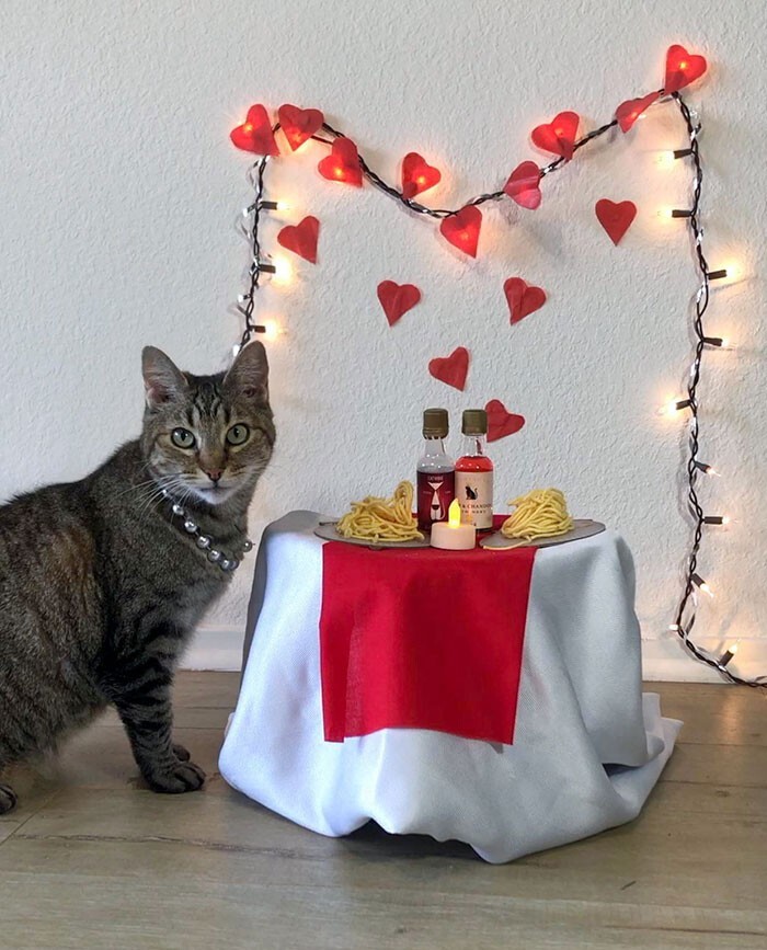 Interesting Decorations For Valentine's Day (25 pics)