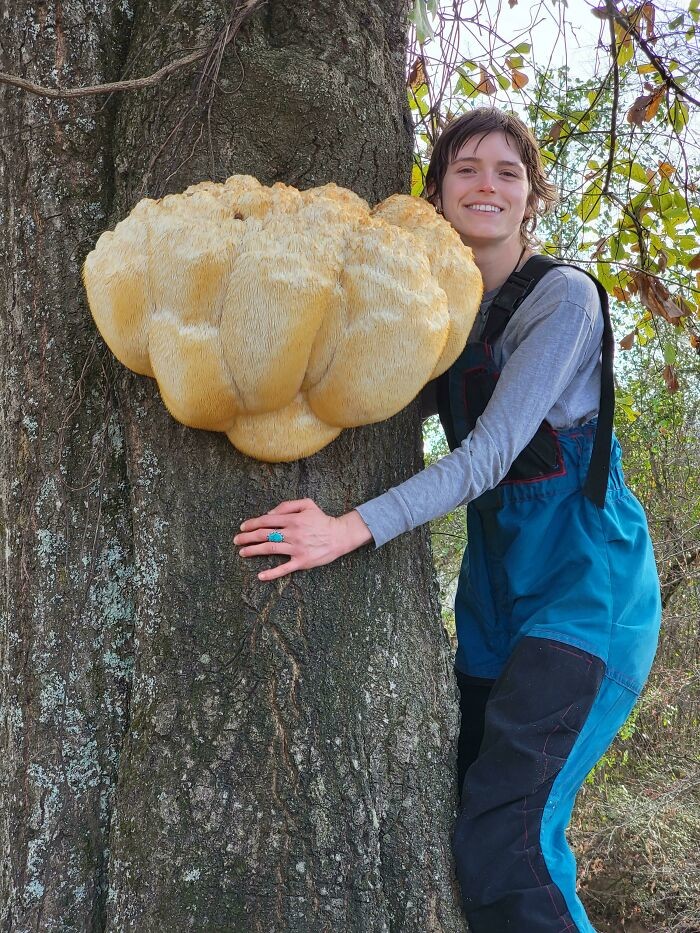 Unusual Finds Of Mushroom Pickers (23 pics)