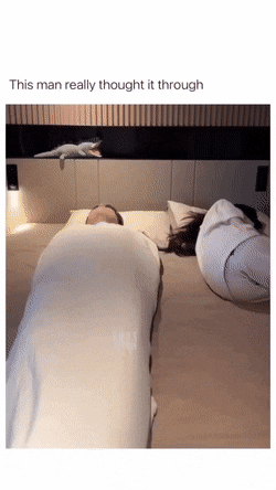 Acid GIFs, February 10 (25 gifs)