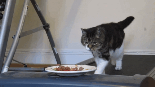 Acid GIFs, February 10 (25 gifs)