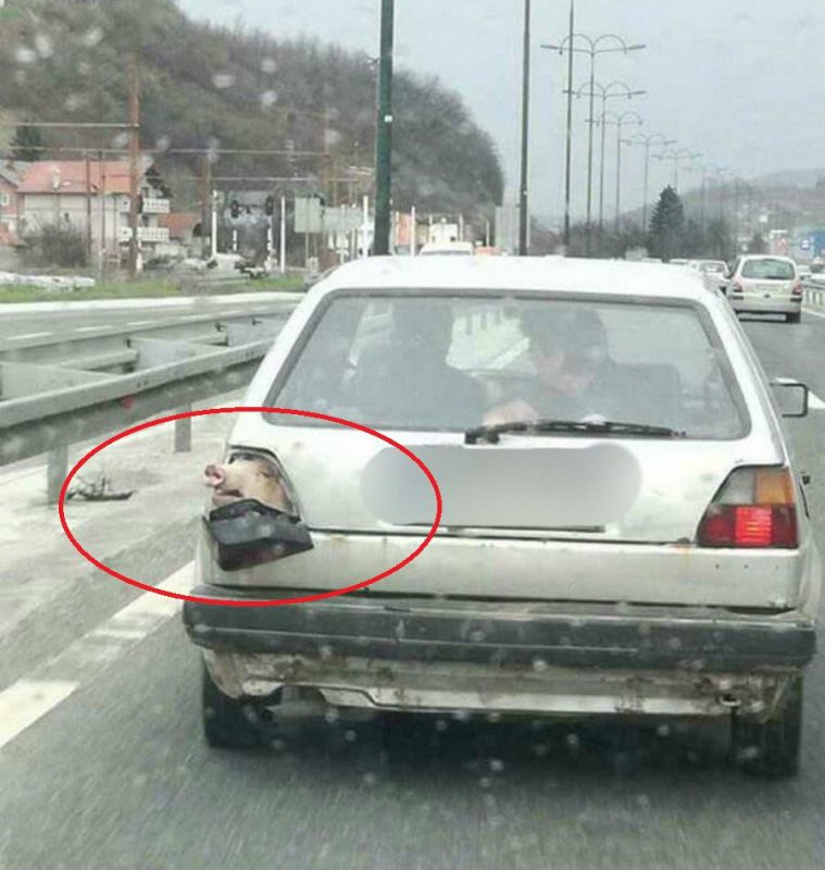 What Is Going On Here? (18 pics)