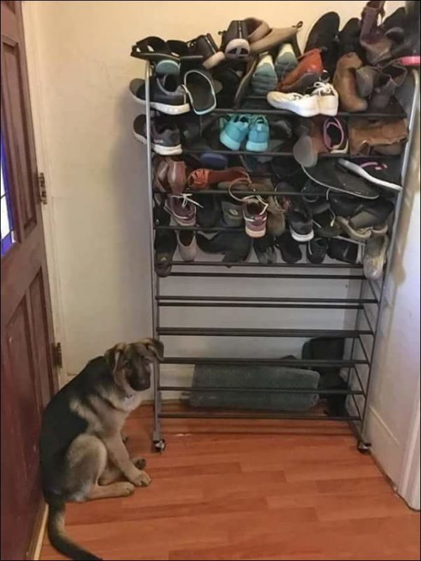 What Is Going On Here? (18 pics)