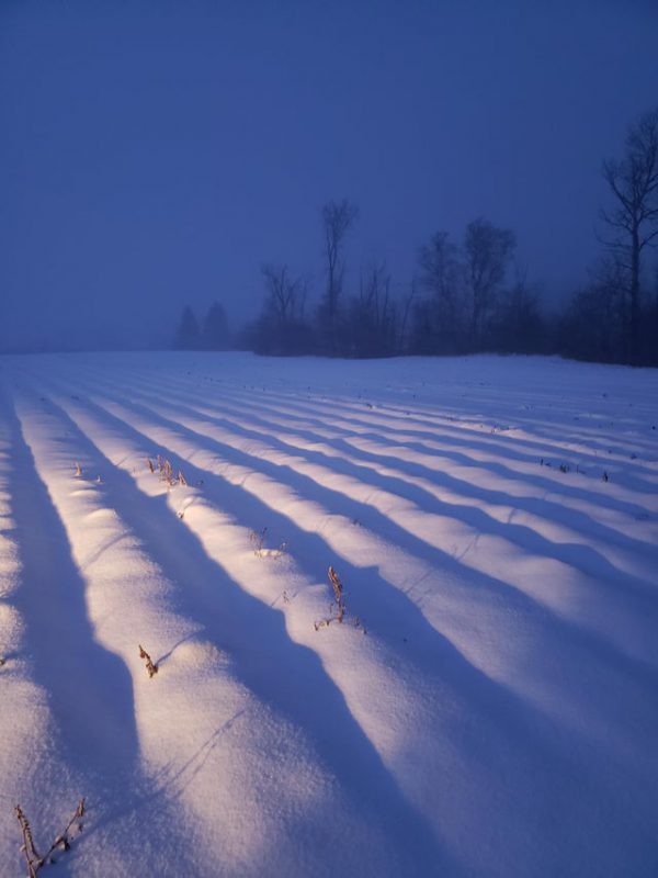 Photos For Perfectionists (15 pics)