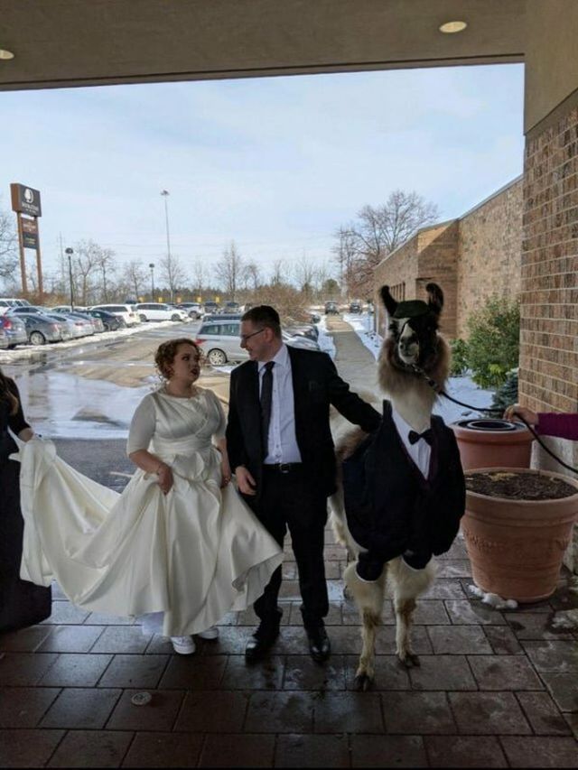 What Is Going On Here? (18 pics)