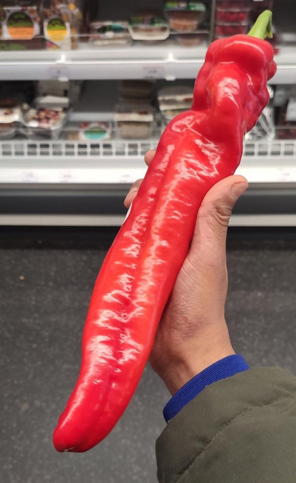 Huge Finds (21 pics)