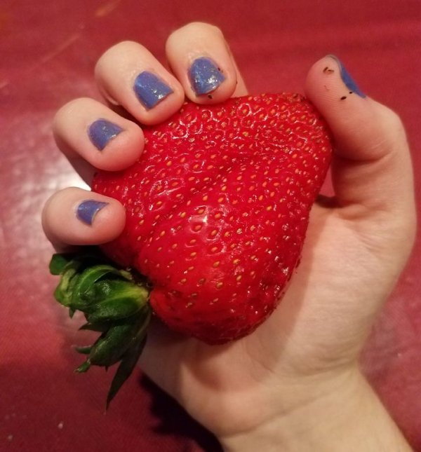 Huge Finds (21 pics)