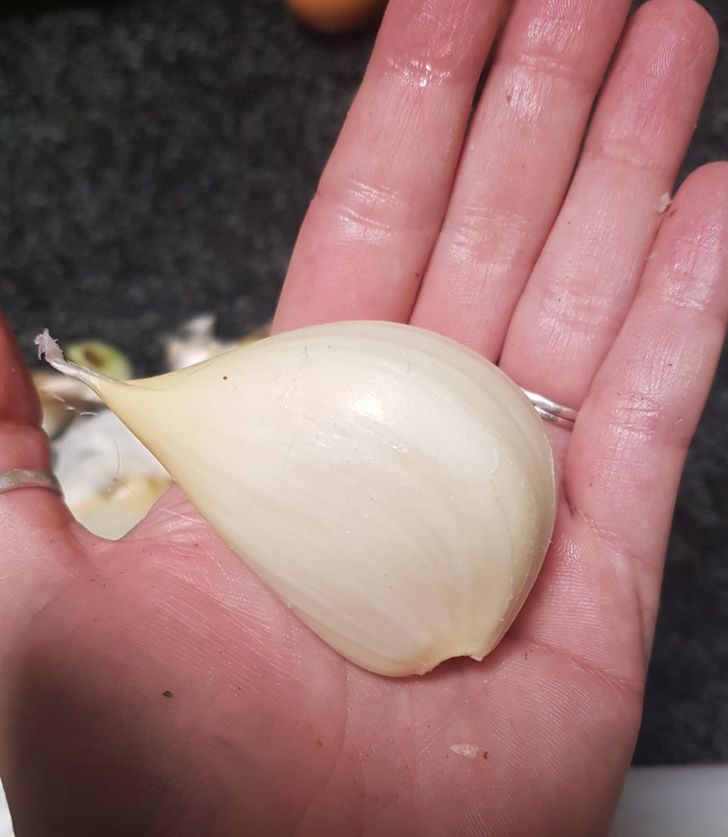 Huge Finds (21 pics)