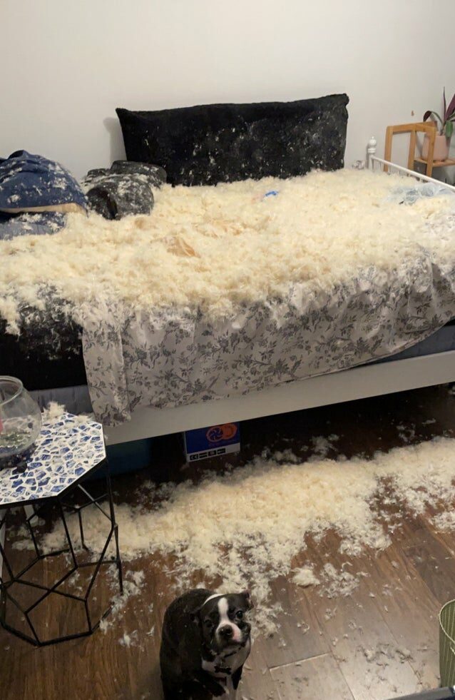 Bad Days Happen (20 pics)
