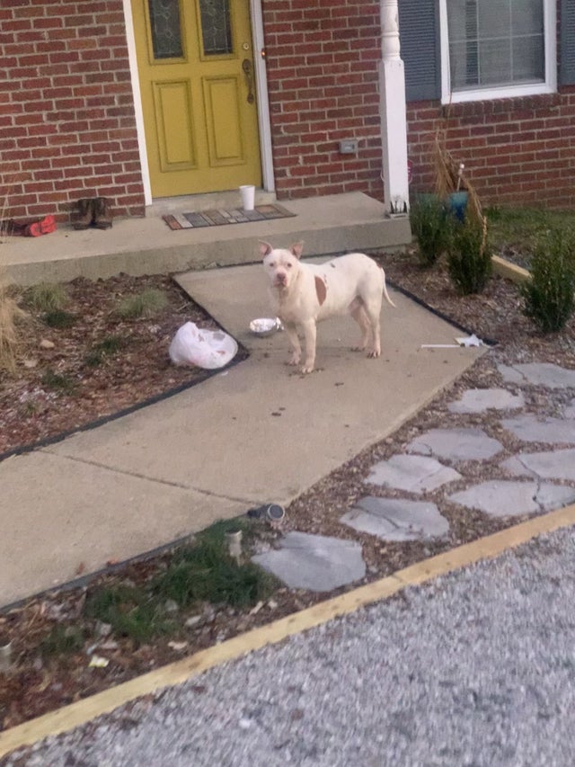 Bad Days Happen (20 pics)