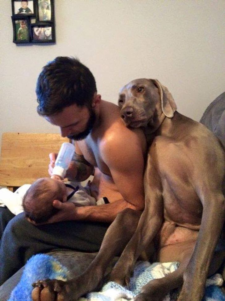 Annoying Finds And Situations (20 pics)