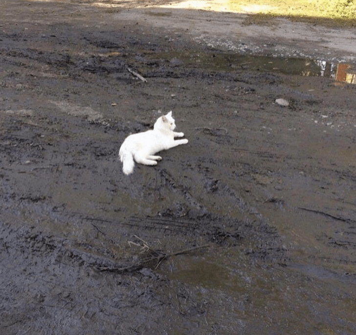 Annoying Finds And Situations (20 pics)