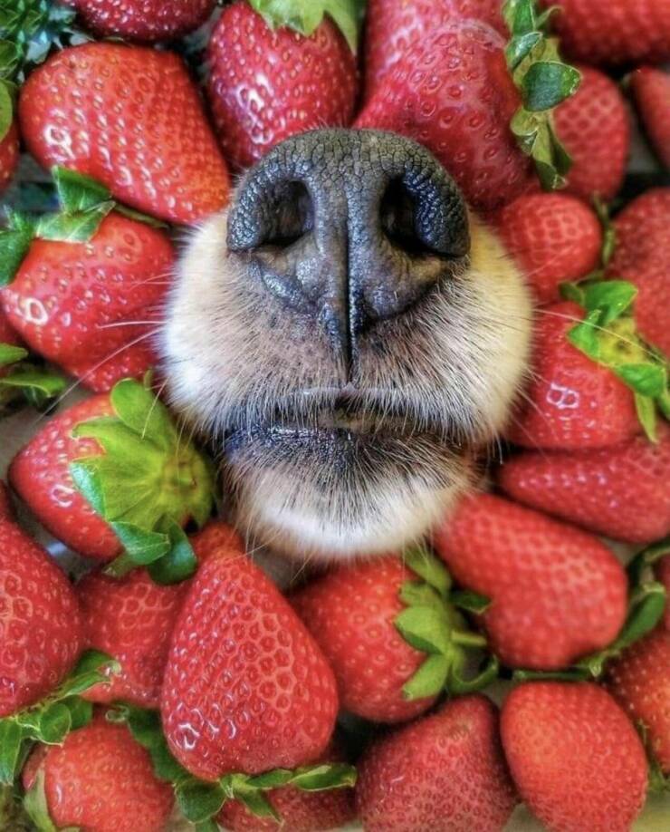 Daily Pictures. Part 1 (70 pics)