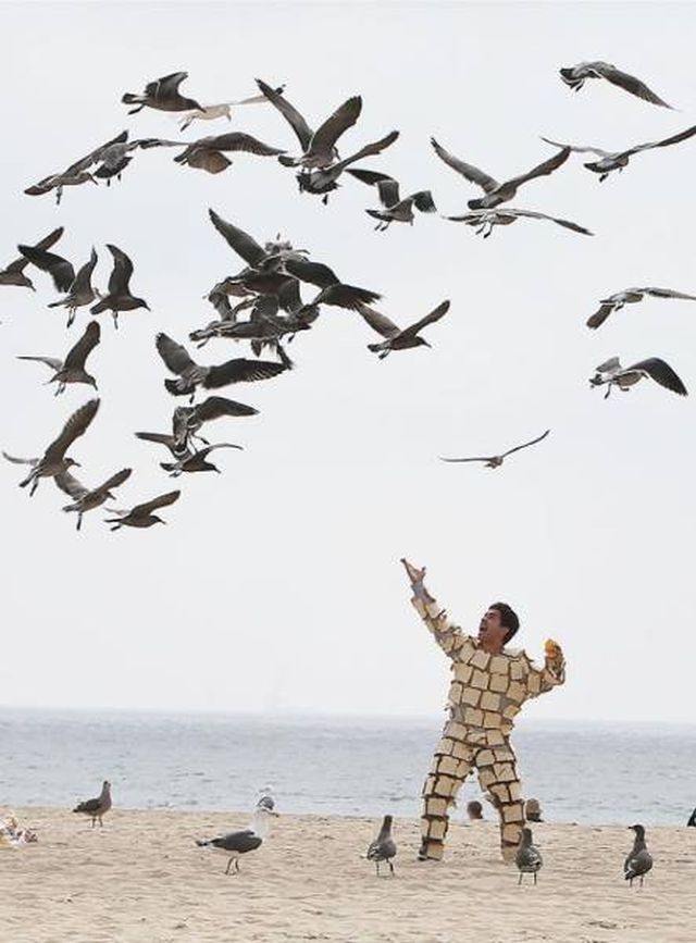 Weird Finds And Situations (50 pics)