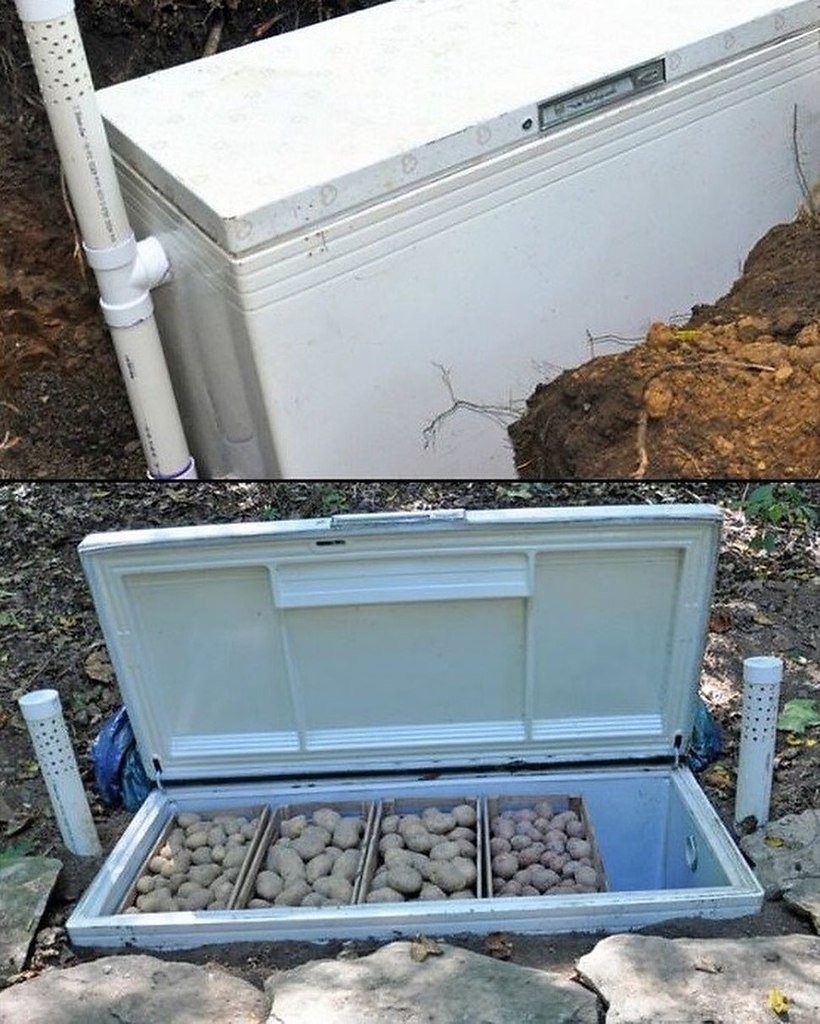 What To Do With The Old Refrigerator? (17 pics)