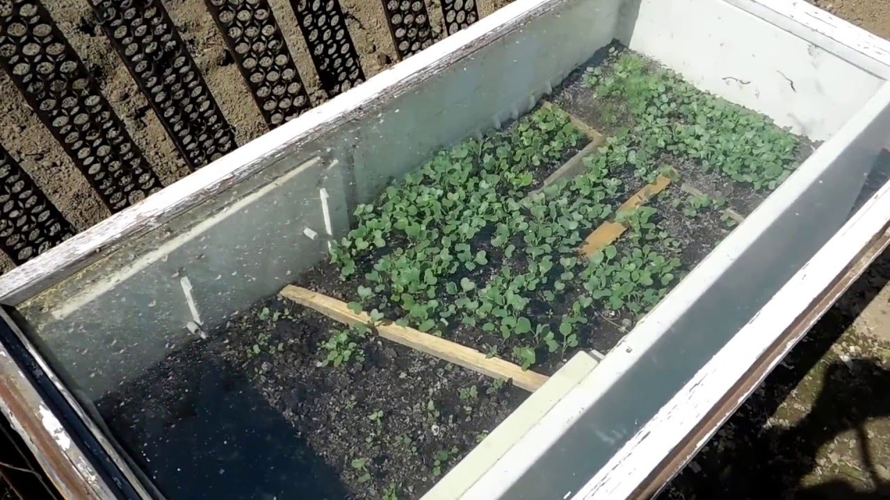 What To Do With The Old Refrigerator? (17 pics)