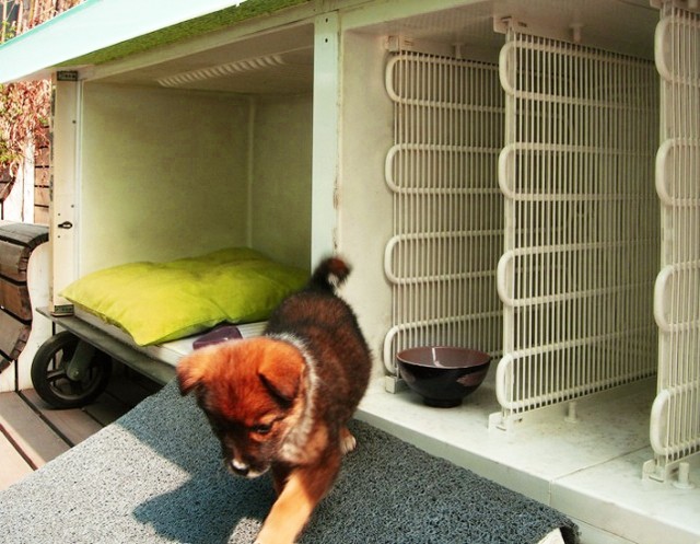 What To Do With The Old Refrigerator? (17 pics)