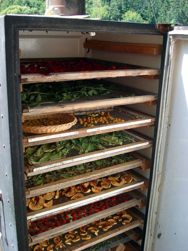 What To Do With The Old Refrigerator? (17 pics)