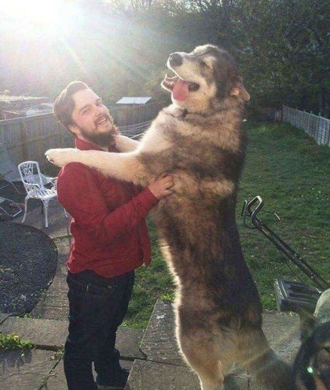 Huge Things (20 pics)