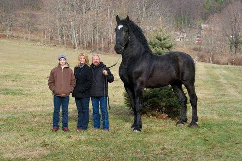 Huge Things (20 pics)