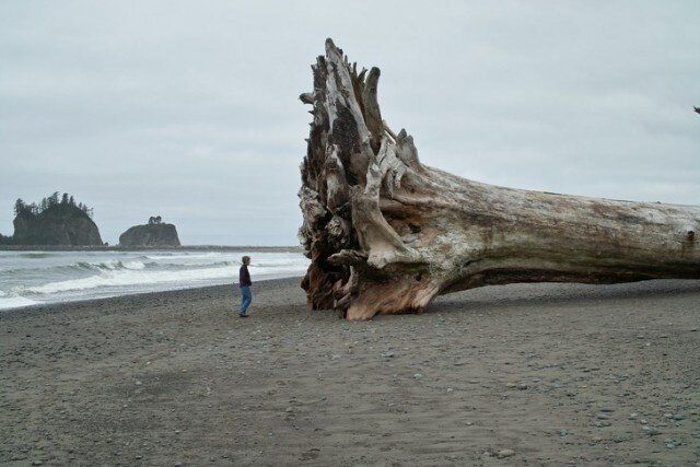 Huge Things (20 pics)