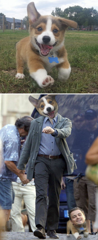 Funny ''Photoshop'' (24 pics)