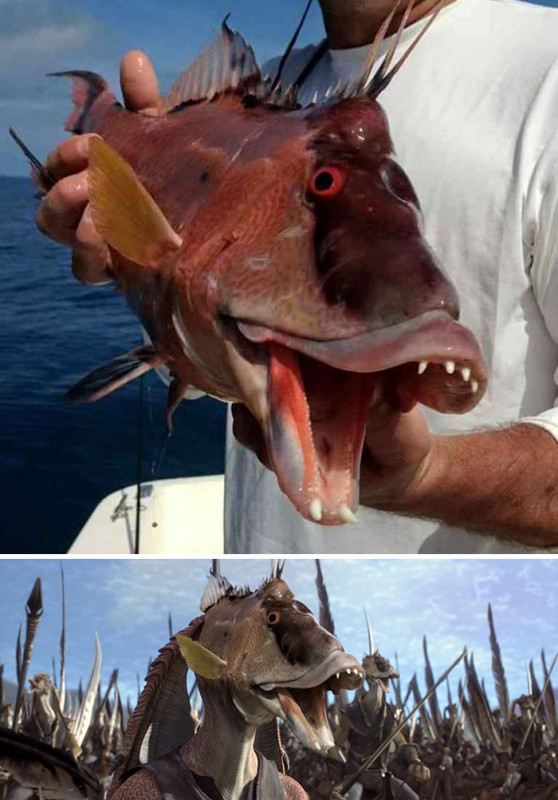Funny ''Photoshop'' (24 pics)