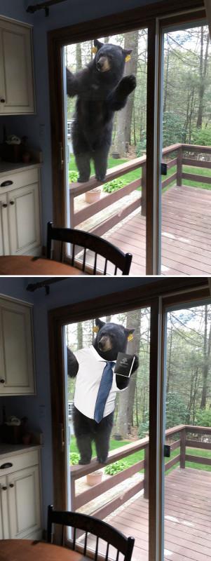 Funny ''Photoshop'' (24 pics)