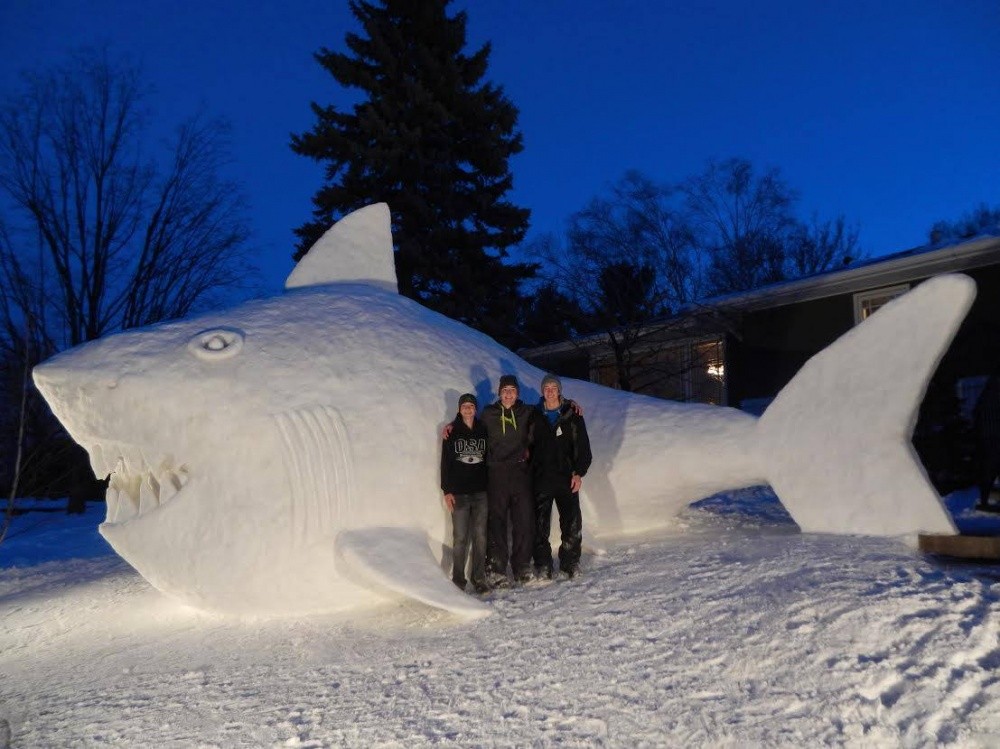 Cool Snow Sculptures (20 pics)