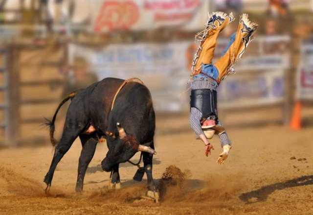 Right Moment (14 pics)