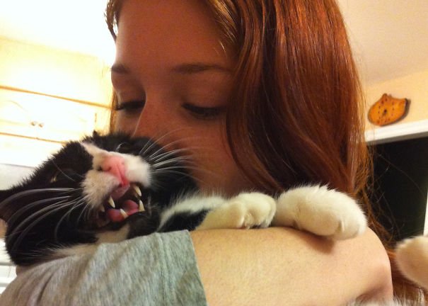 They Don't Like Selfies (15 pics)