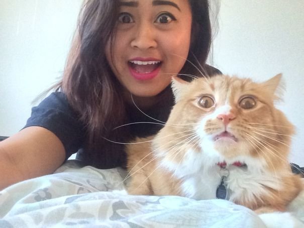 They Don't Like Selfies (15 pics)