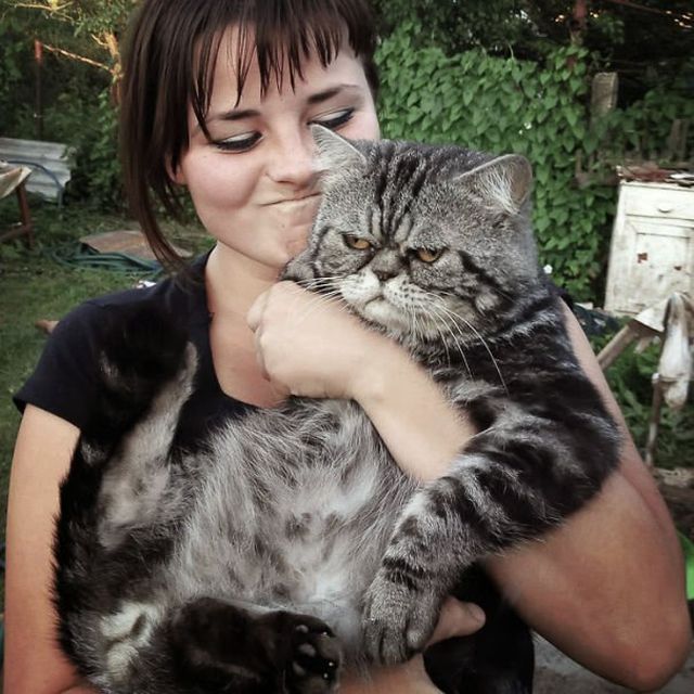 They Don't Like Selfies (15 pics)