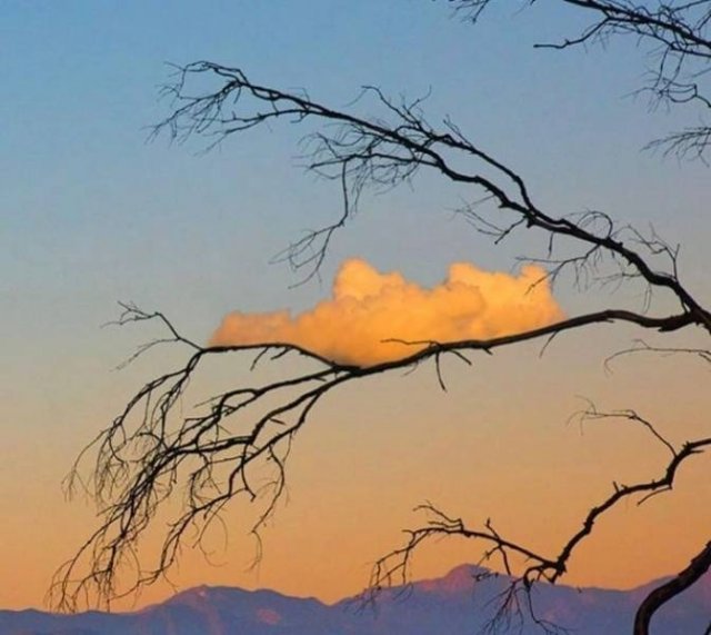 Photos For Perfectionists (20 pics)