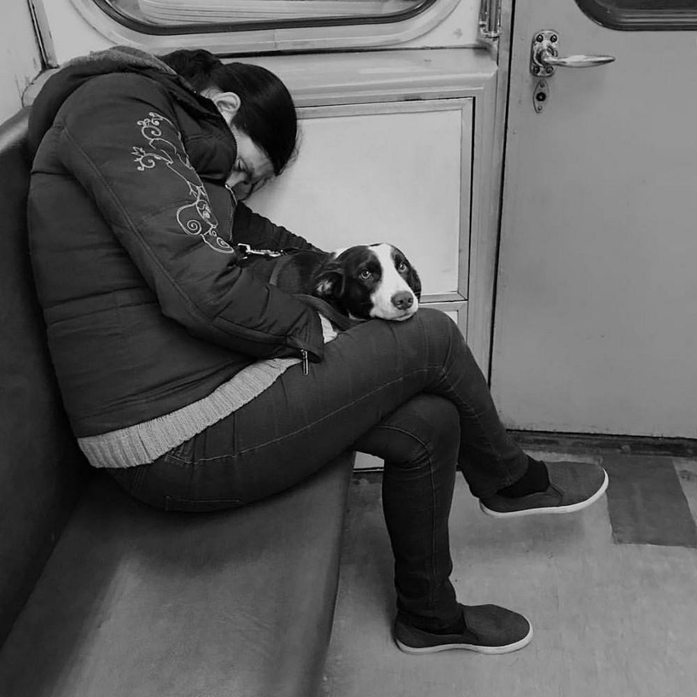Strange People In The Subway (19 pics)