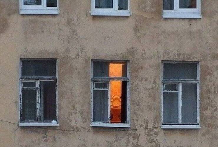 Daily Pictures. Part 2 (76 pics)