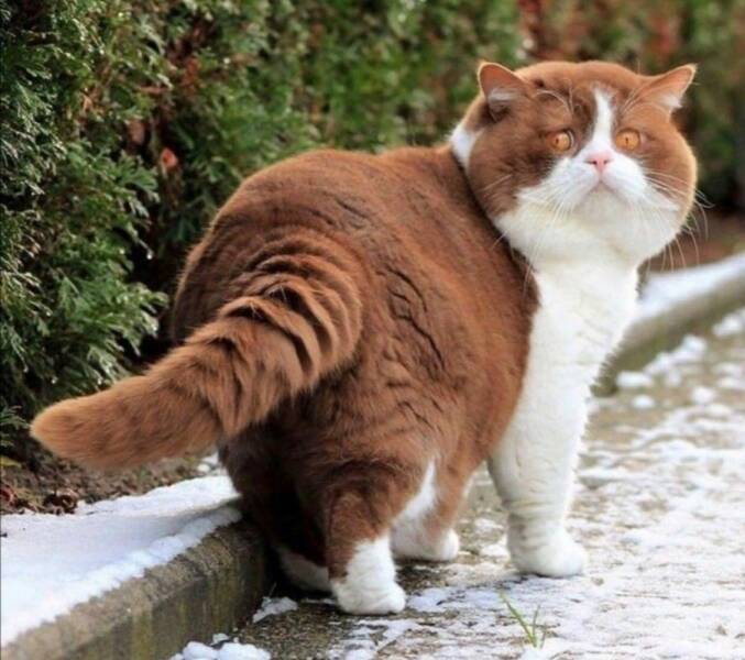 Daily Pictures. Part 1 (66 pics)