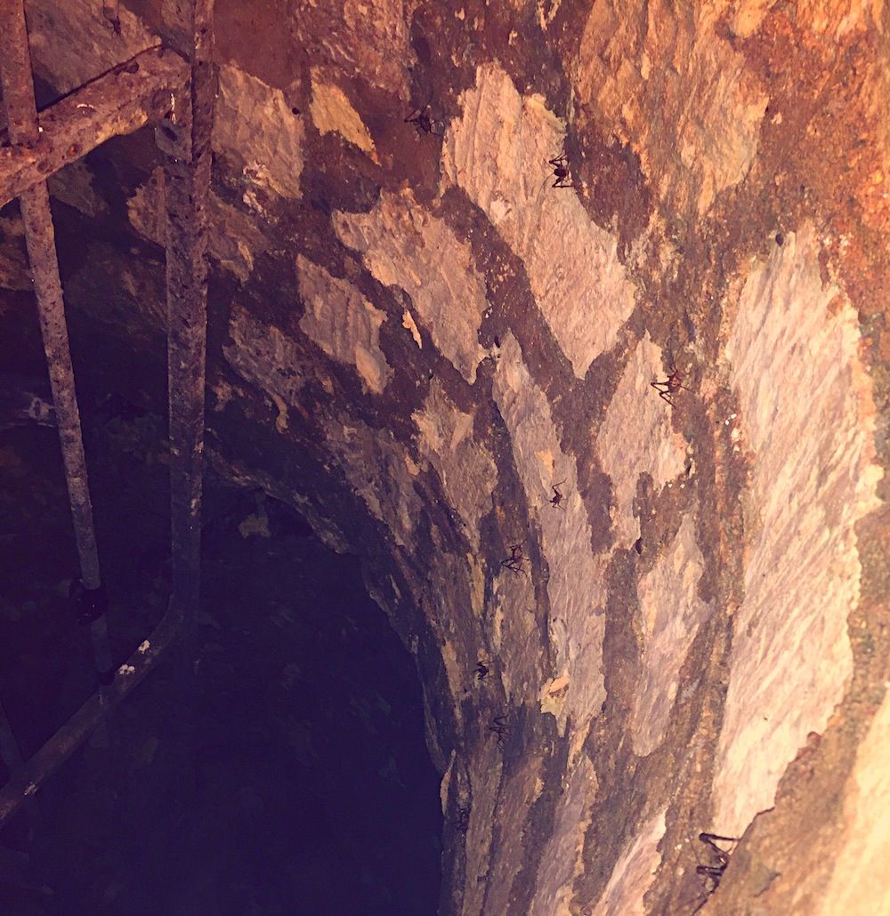 Abandoned Parisian Catacombs (35 pics)